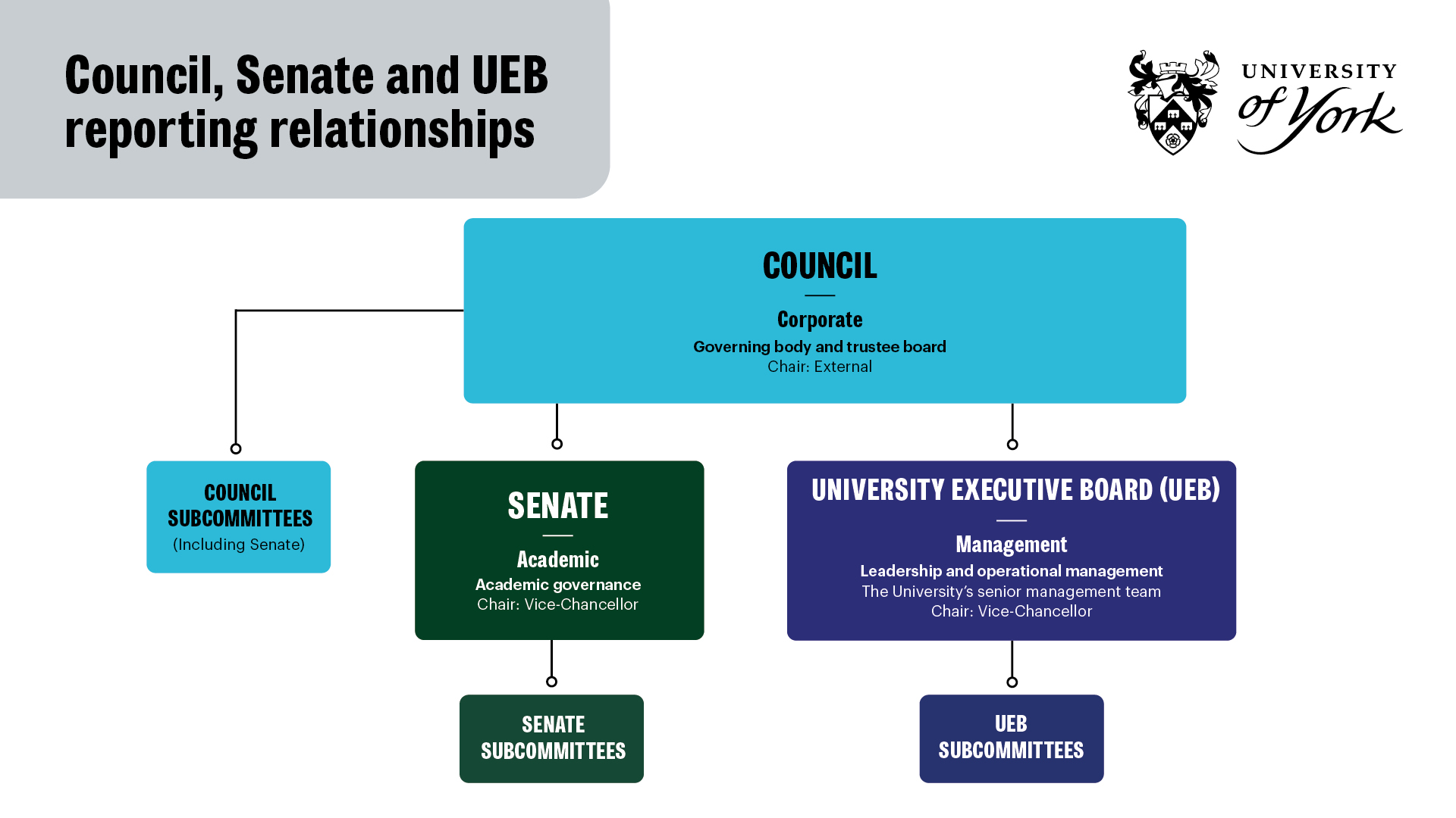 Council, Senate and UEB reporting relationships: Senate (academic governance) and University Executive Board (leadership and operational management) report to Council (governing body and trustee board). Council, Senate and UEB all have subcommittees.